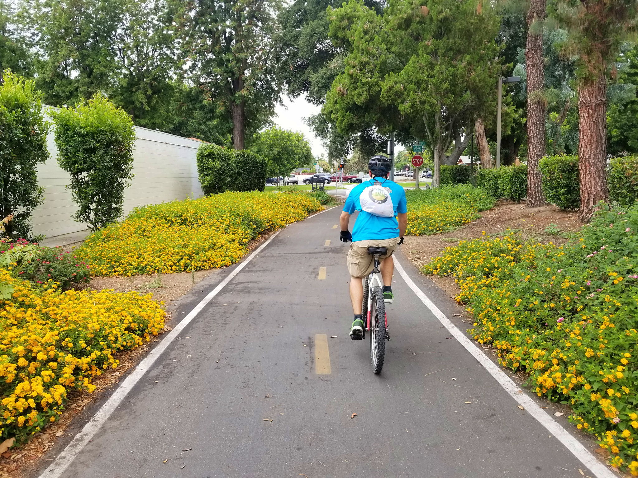 pacific urban bike