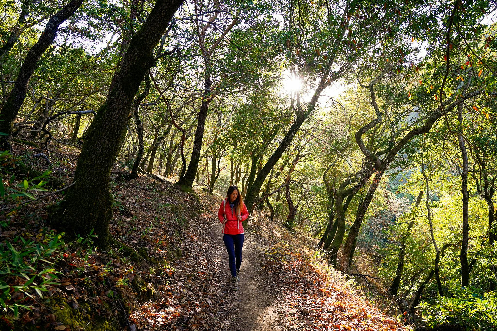 Hike Olompali State Historic Park 