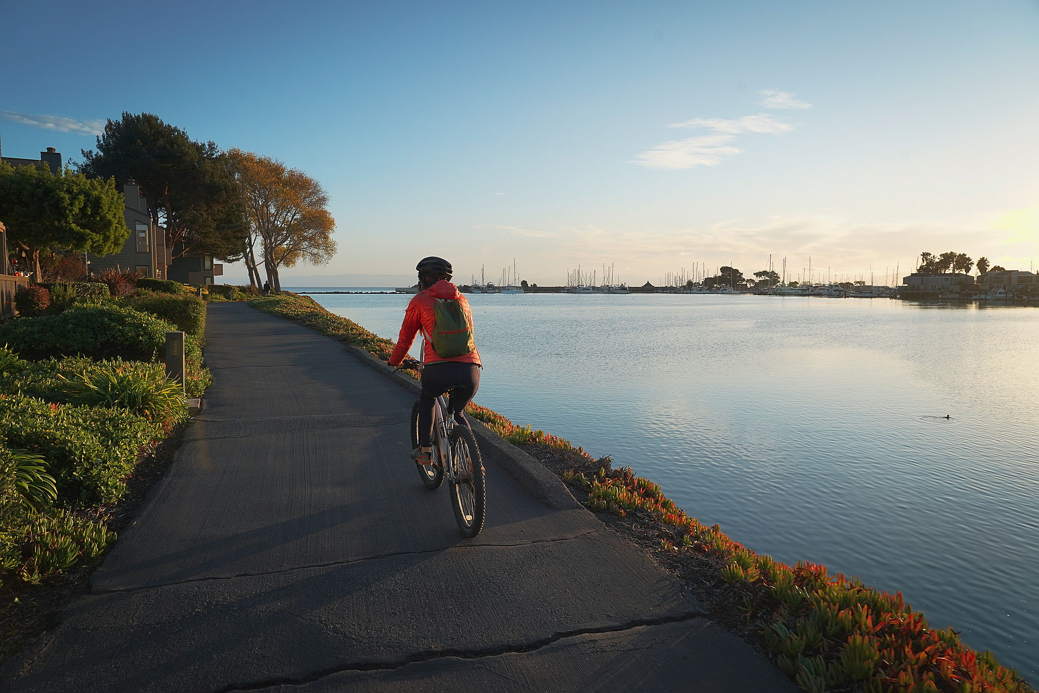 Woman biking waterside on car free trail in Alameda