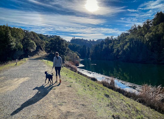 Woman and dog hiking by the water at Mount Tam in Marin 