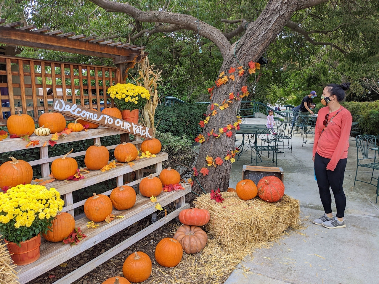 Ghoulish Gardens at the Los Angeles County Arboretum in Arcadia.