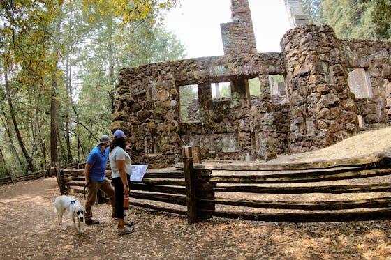 Hike to Wolf House Ruins in Jack London State Park 