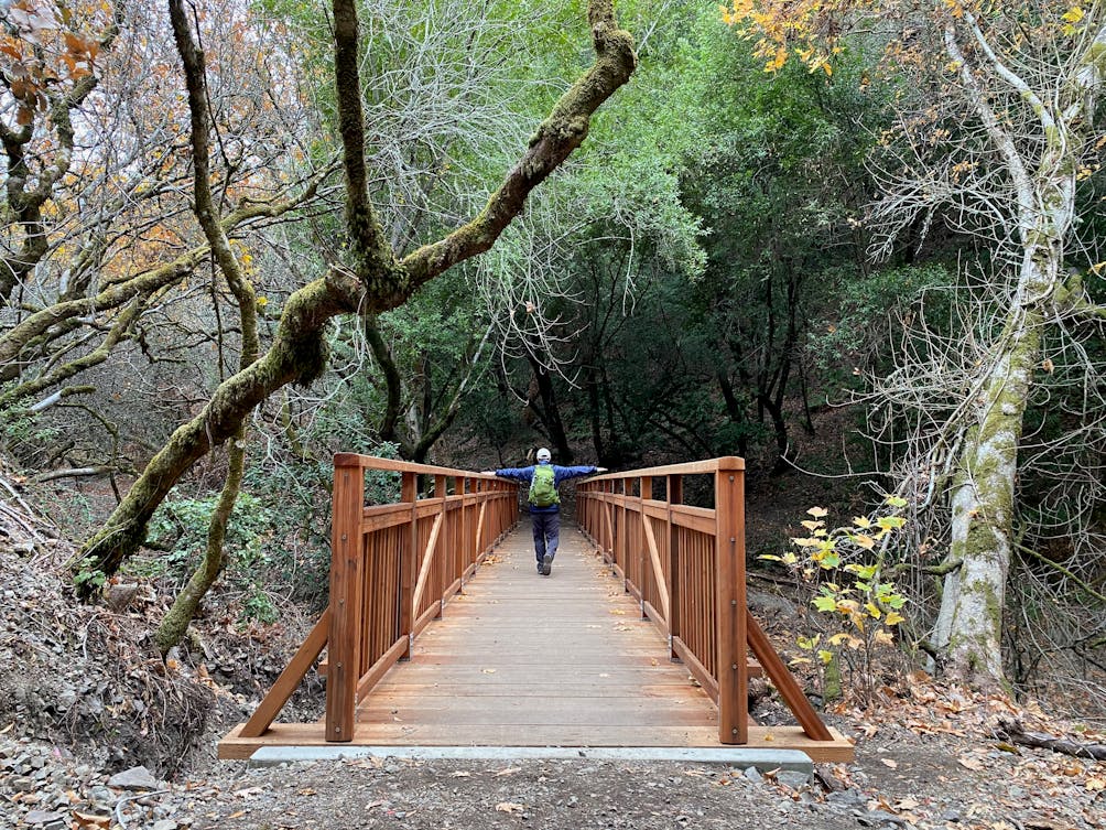Hiker on a bridge on the Saratoga to the Skyline Trail 