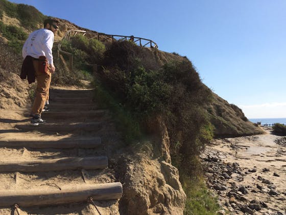 Person hiking up some stand stairs at Crystal Cove State Park. 