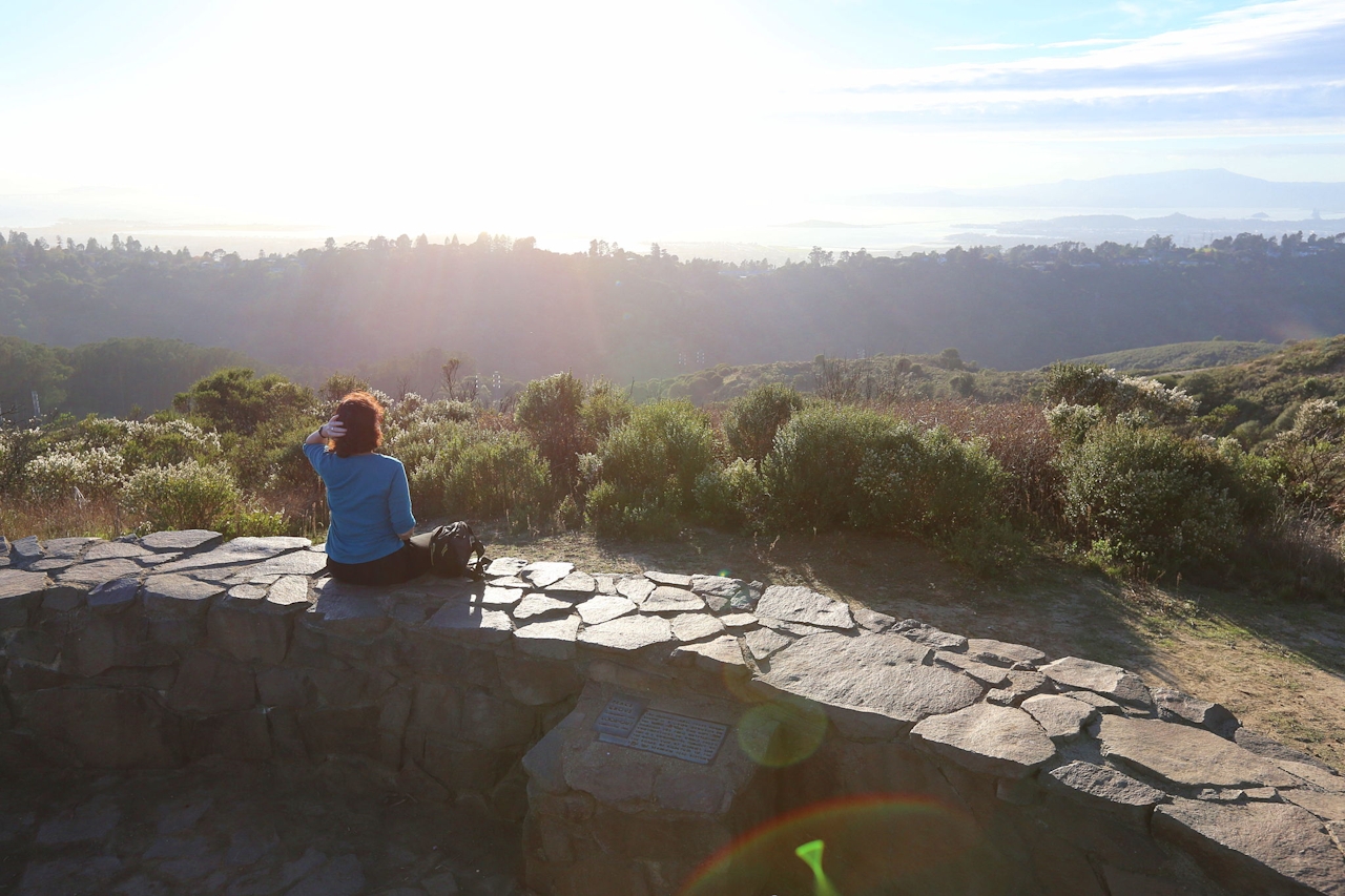 Wildcat Peak Tilden Regional Park