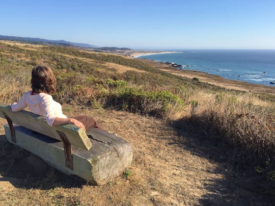 Wilburs Watch Trail San Mateo Coast