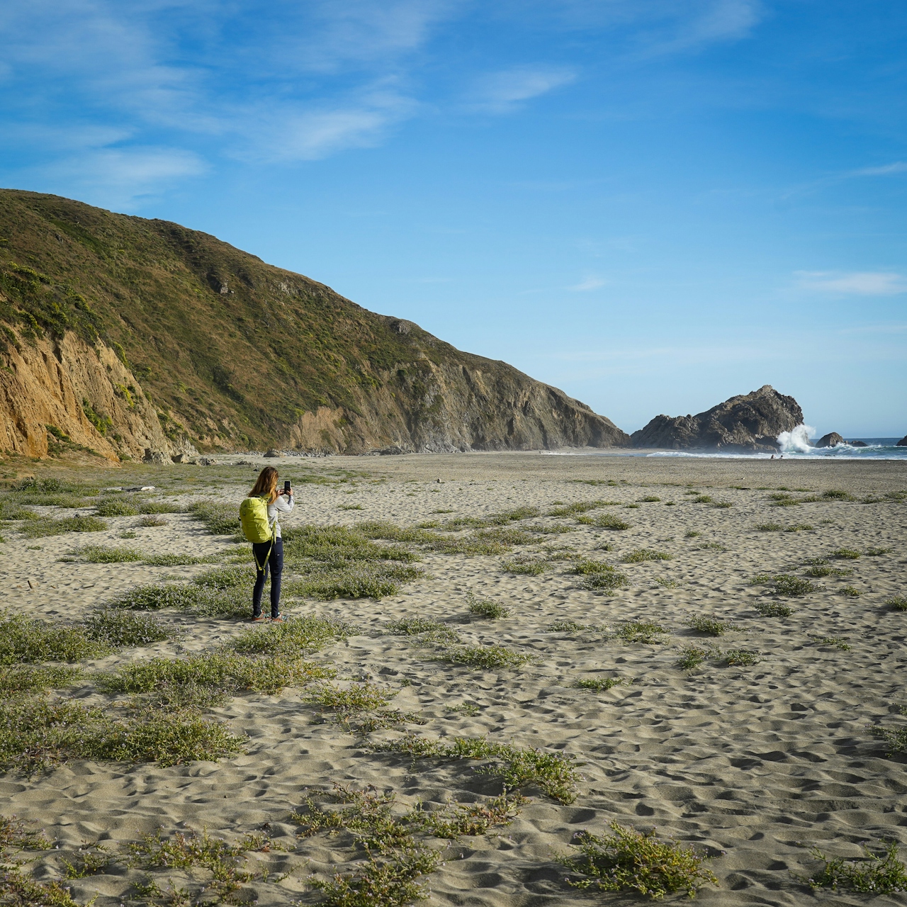 Person surveying the beach at McClures Beach in Point Reyes National Seashore 