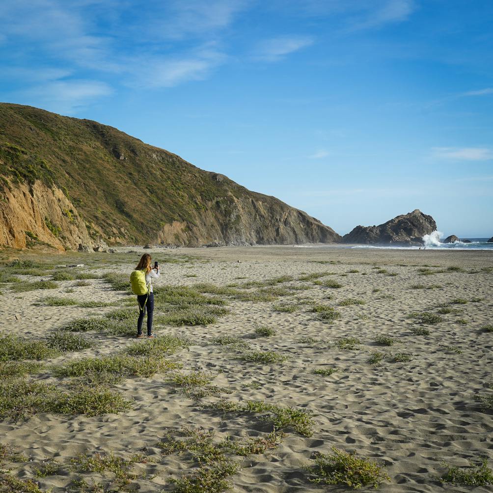 Person surveying the beach at McClures Beach in Point Reyes National Seashore 