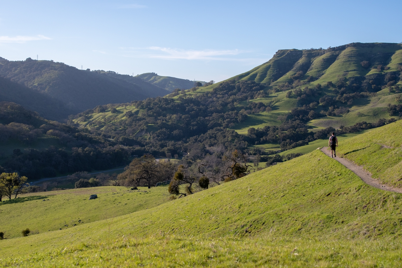 Hiker along a trail at Sunol Regional Wilderness Preserve 