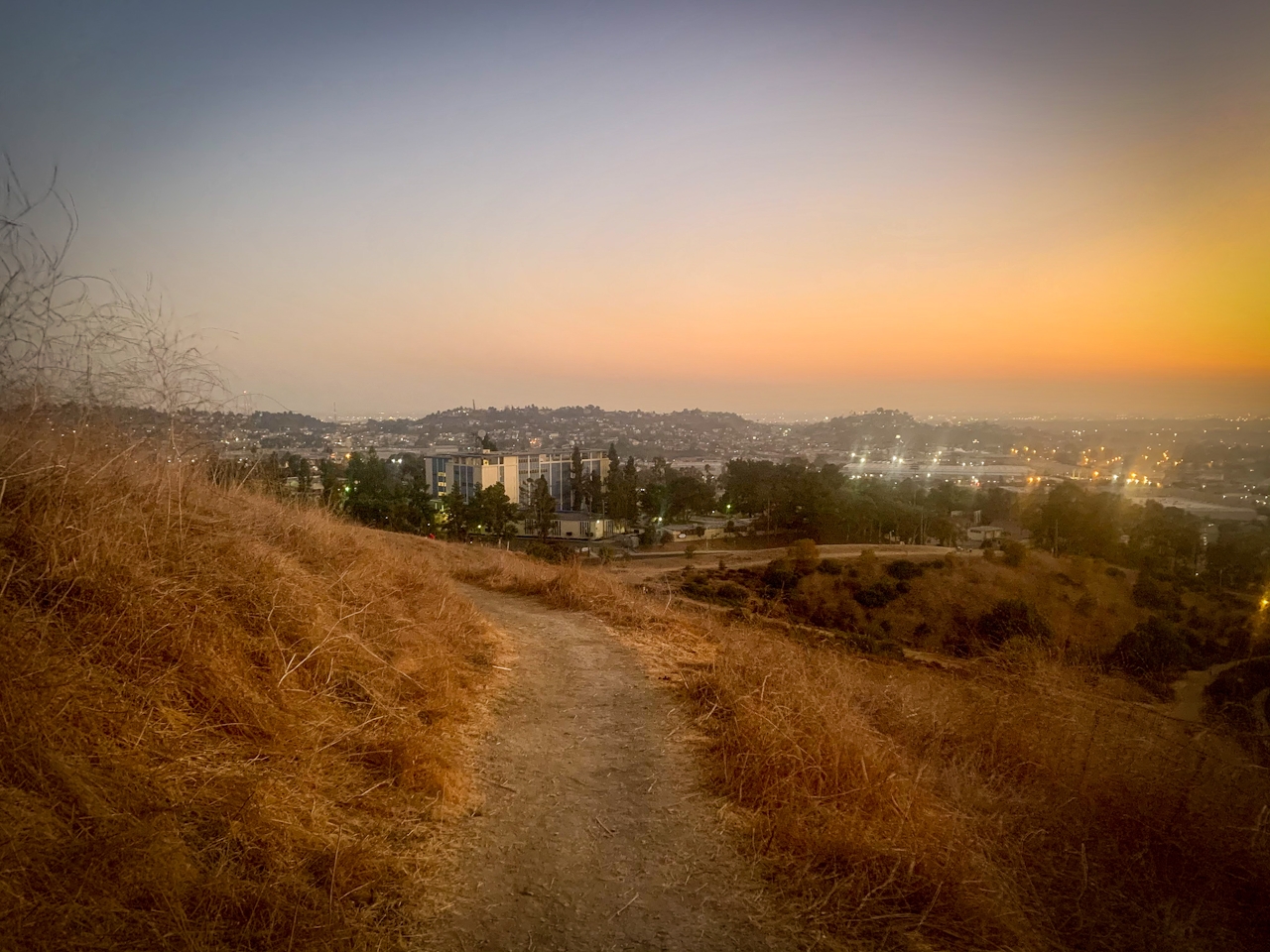 Downtown Los Angeles view from Ascot Hills Park 