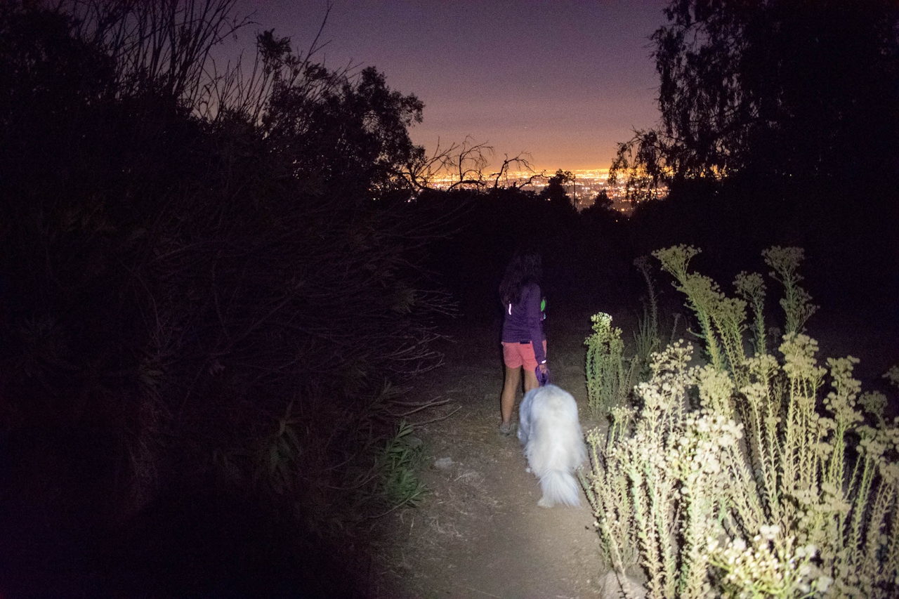 Hiking Cobb Estate Haunted Forest