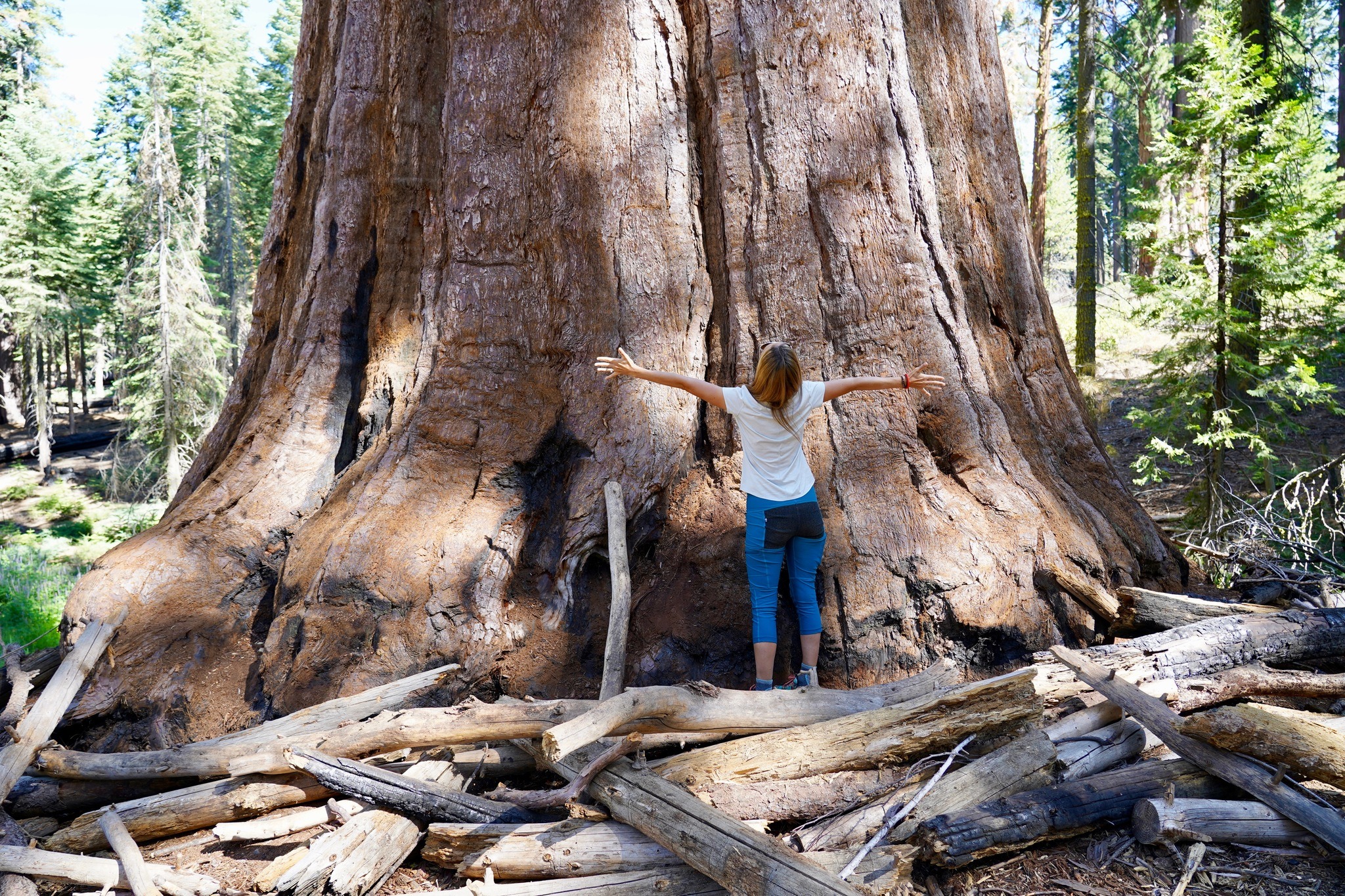Yosemite Mariposa Grove hike Wawona Point