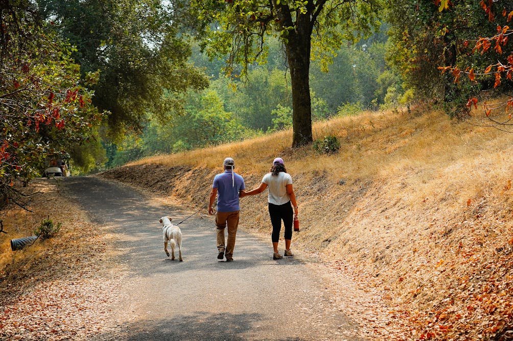 Hike to Wolf House Ruins in Jack London State Park 