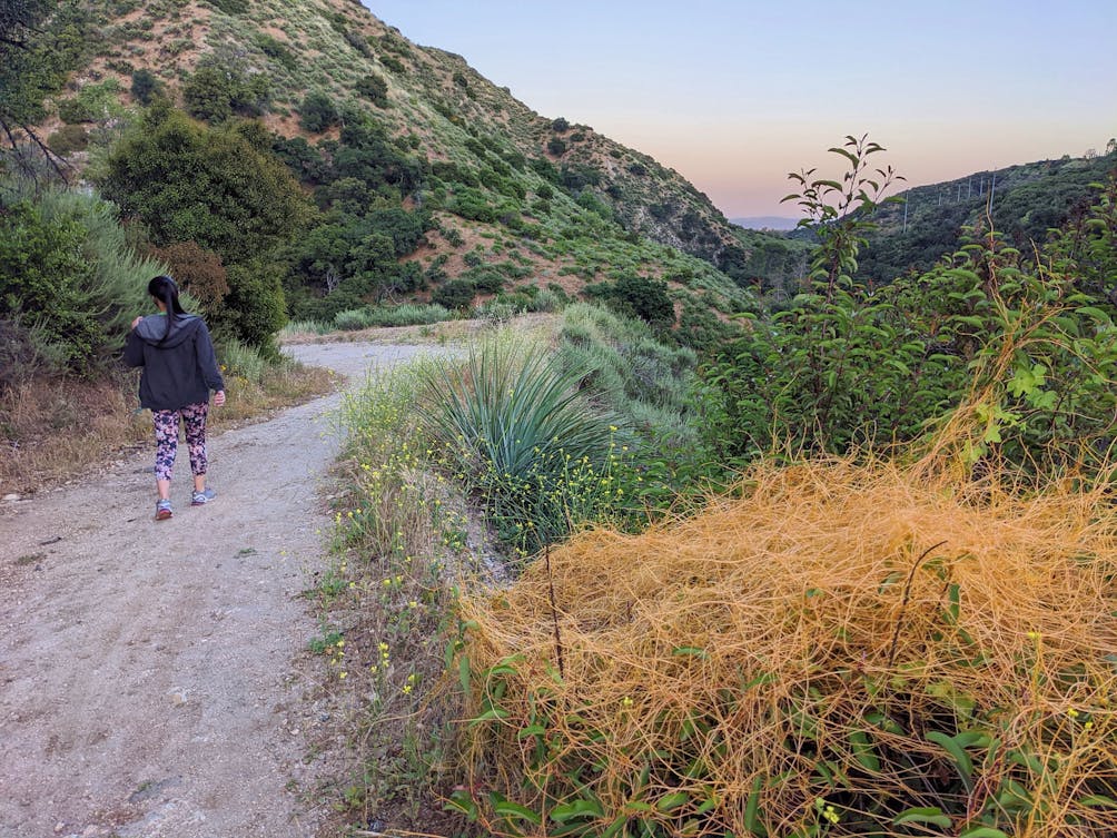 Woman hiking a trail to Gould Mesa Trail Camp 