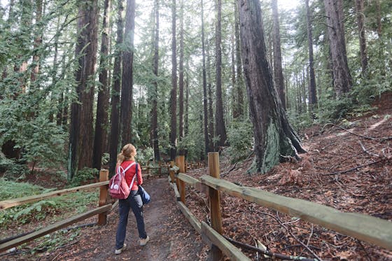 Hike Joaquin Miller Park in Oakland 