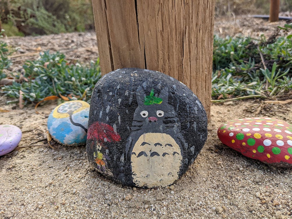 Painted rocks on the trail at Santee