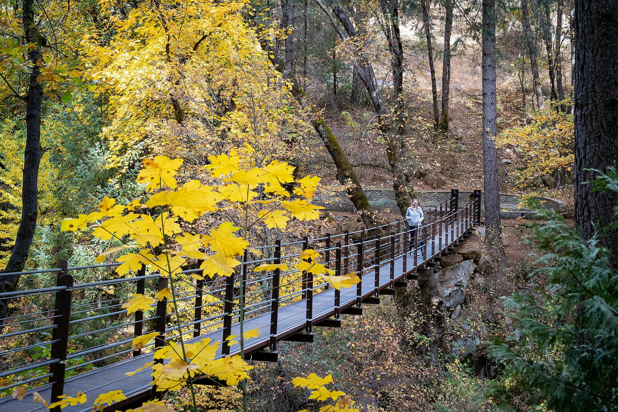 Autumn Outdoor Fun in Apple Hill and Nevada City 