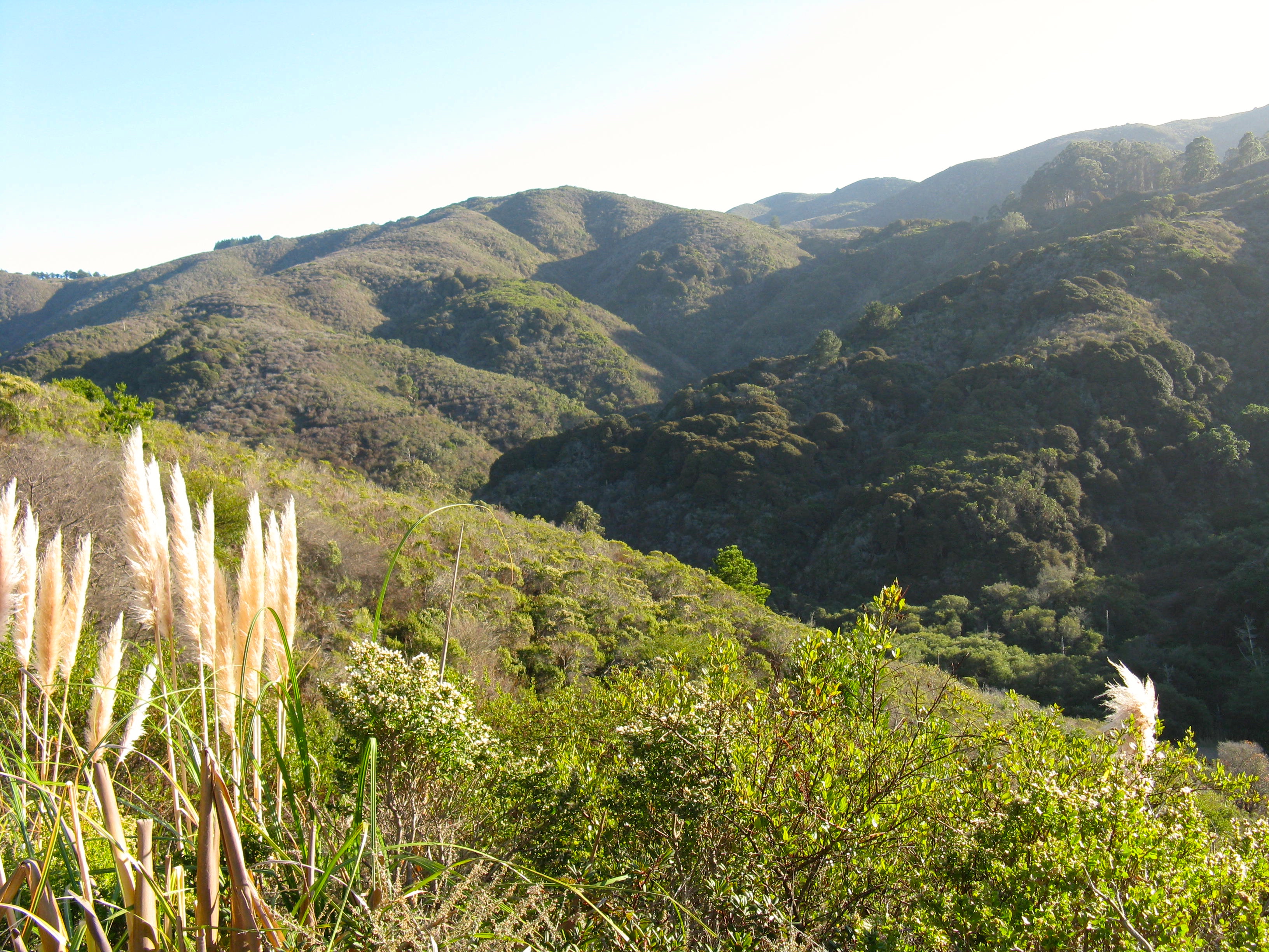 Hike Valley View Trail at San Pedro Valley County Park