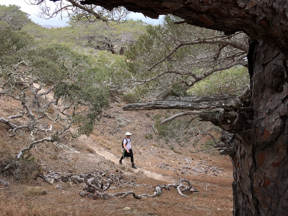 Epic Hikes of Santa Rosa Island