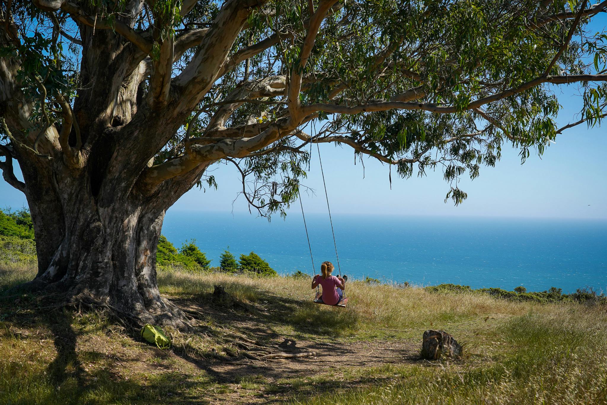 Woman on a Tree Swing overlooking the Pacific at Mount Tam in Marin County 