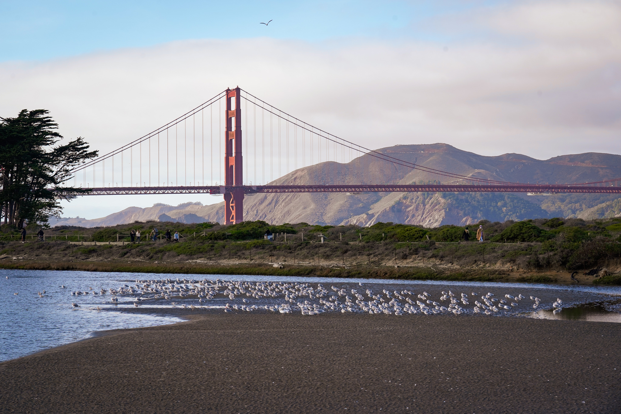 Golden Gate Bridge in San Francisco 