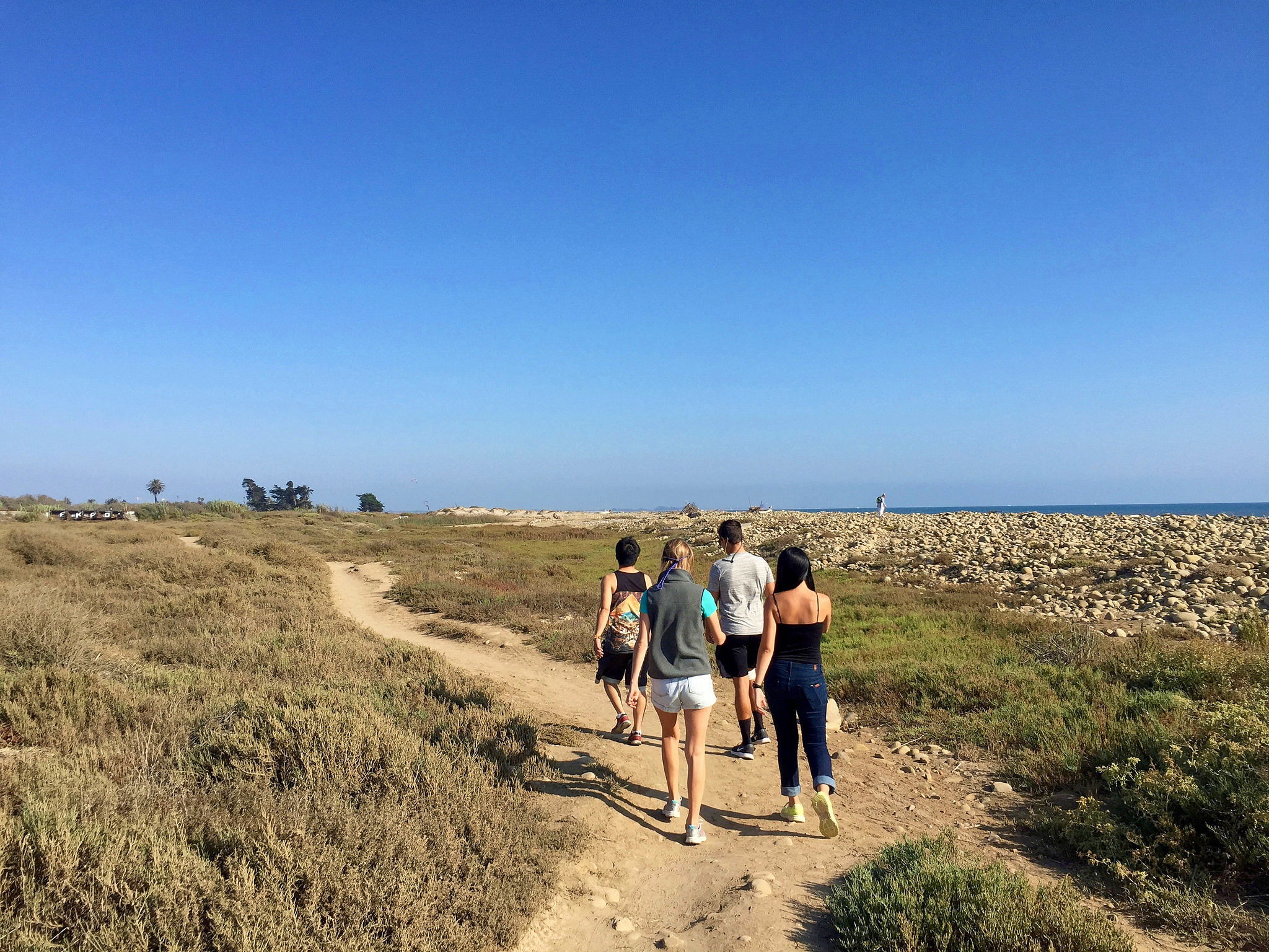 Hike the Ventura River Estuary to Emma Wood State Beach 