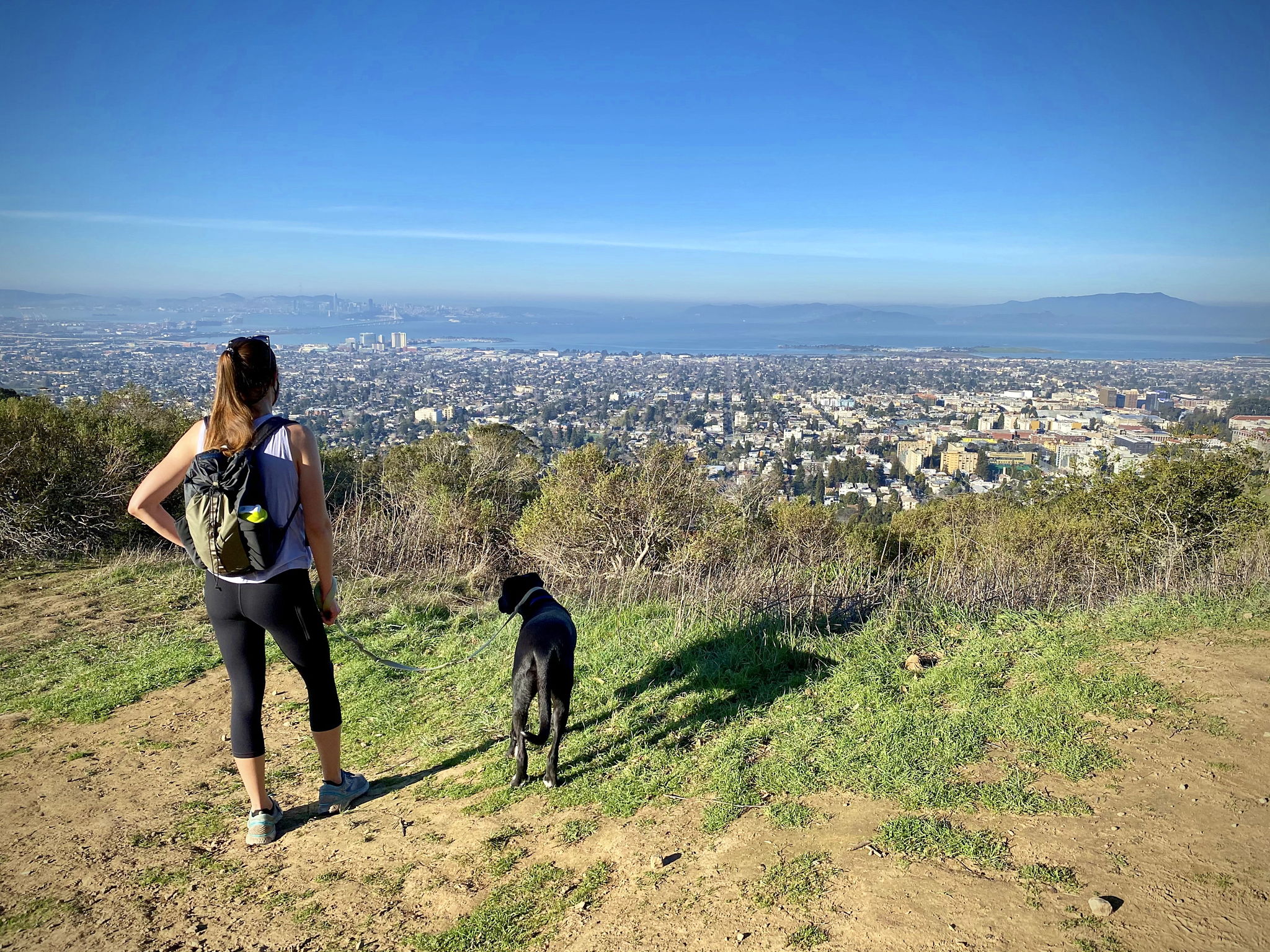 Woman and her dog looking out to view of the Bay at Claremont Canyon Preserve in the East Bay