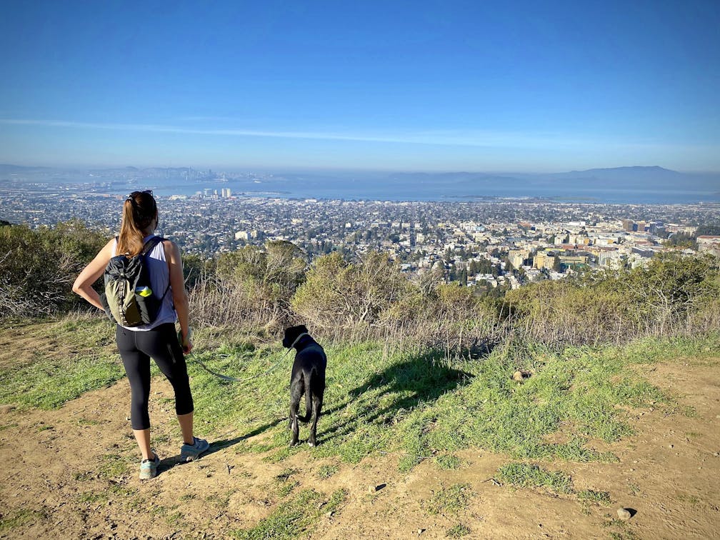 Woman and her dog looking out to view of the Bay at Claremont Canyon Preserve in the East Bay