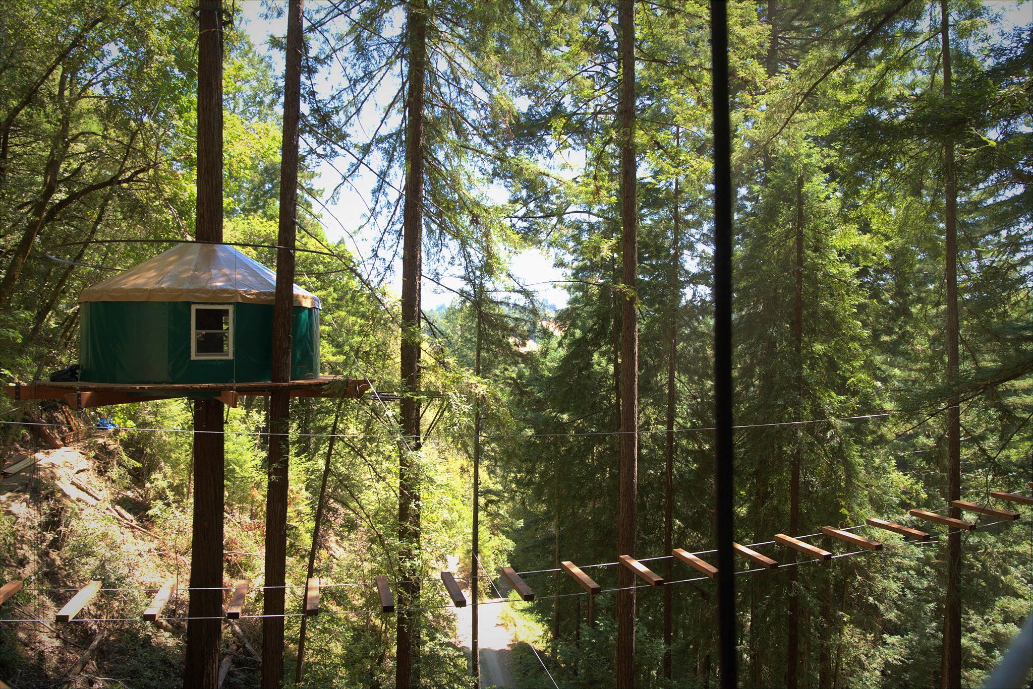 Sonoma Canopy Tours 