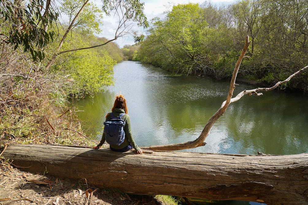 Woman sitting on a tree log overlooking water at Pescadero Marsh Preserve