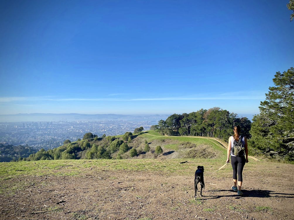 Hike Claremont Canyon Regional Preserve