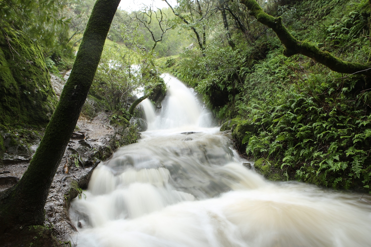 Indian Valley waterfall hike Novato