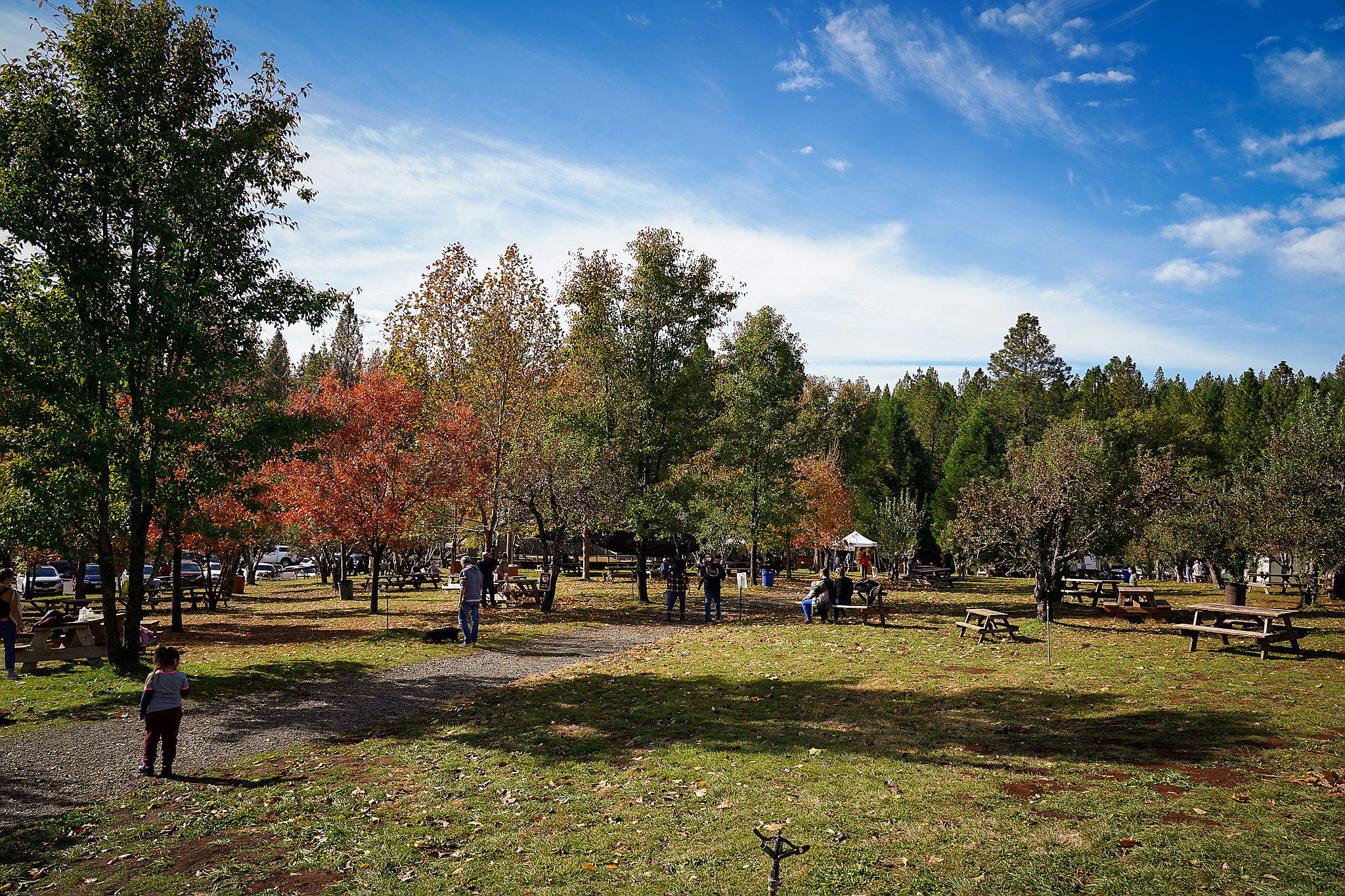 Rainbow Orchards Apple Hill Placerville 