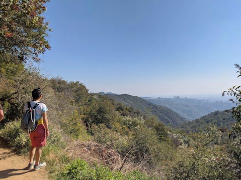 Hike To Skull Rock in Pacific Palisades 
