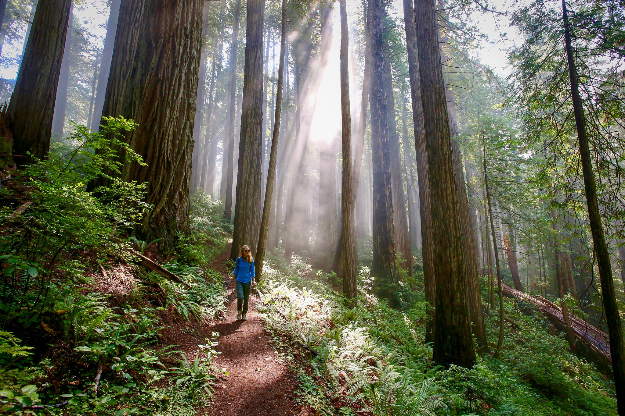 Prairie Creek Redwoods State Park hike