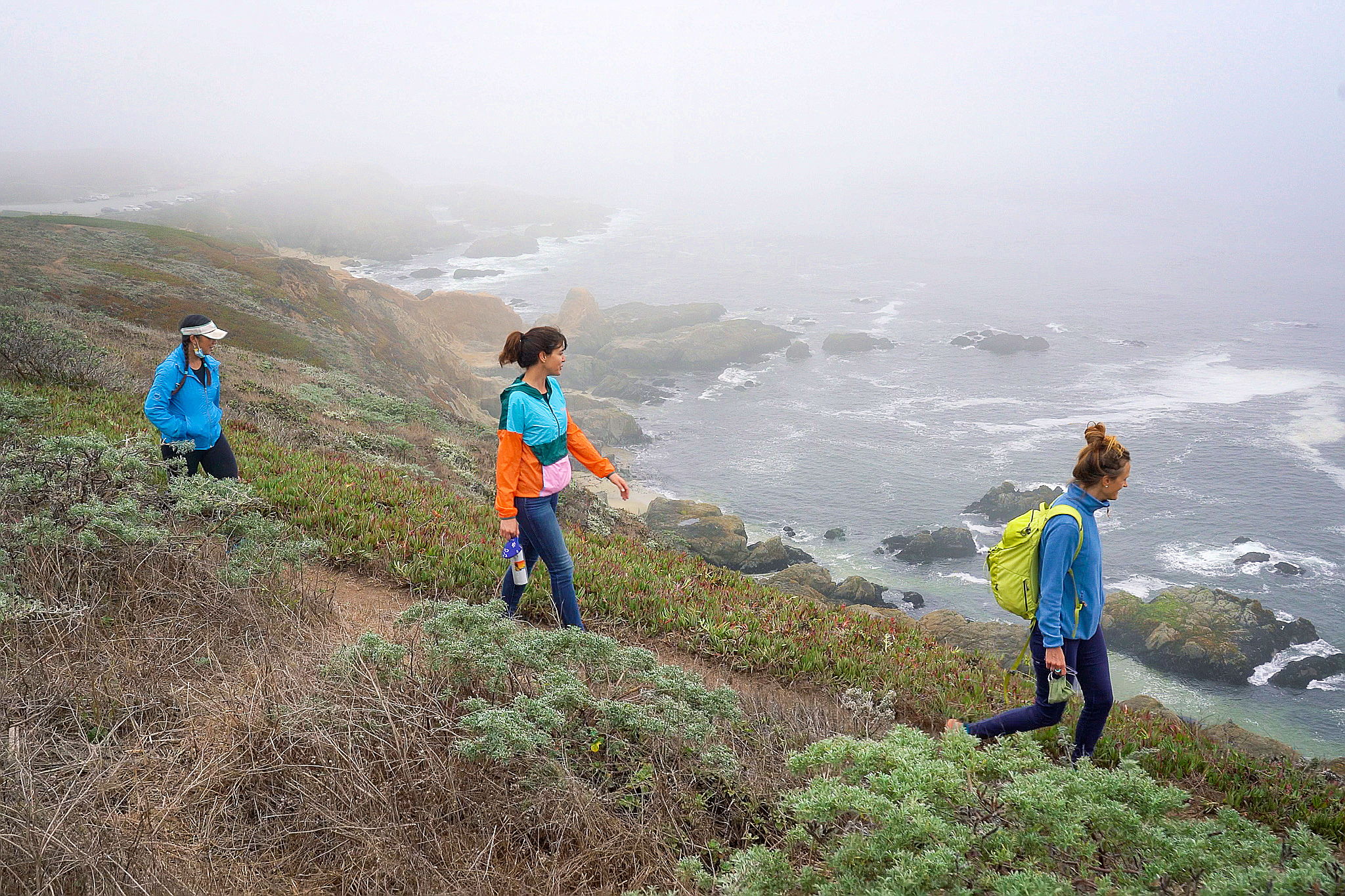 Hike Bodega Head to Salmon Creek Beach on the Sonoma Coast 