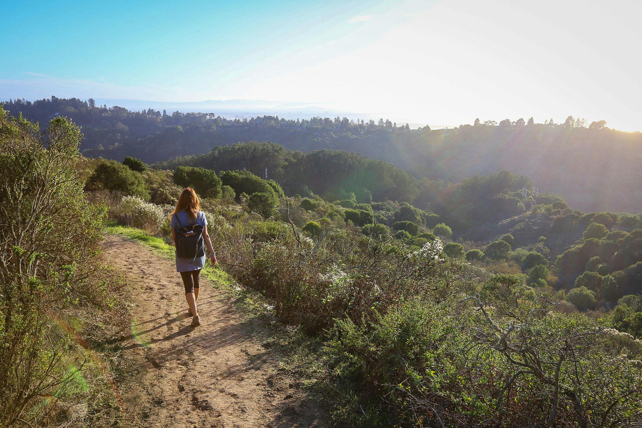 Bay Area hikes to keep your calm