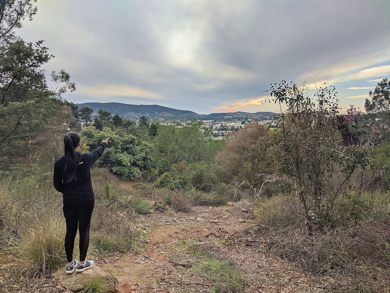 Hike Palomar Arboretum