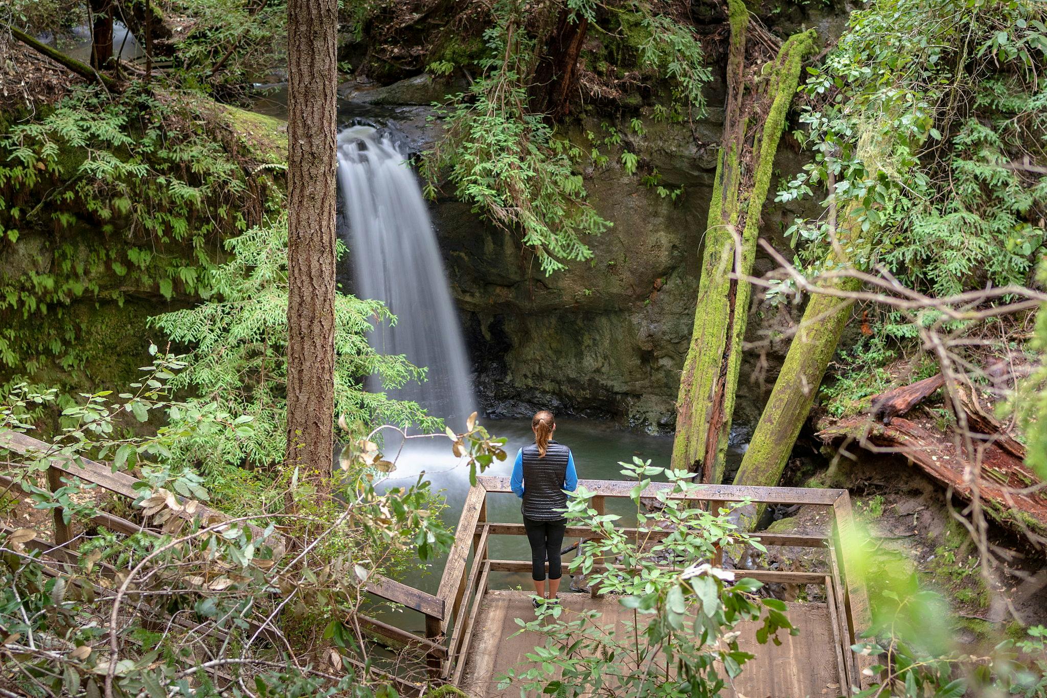 Sempervirens Falls in Big Basin Redwoods State Park 