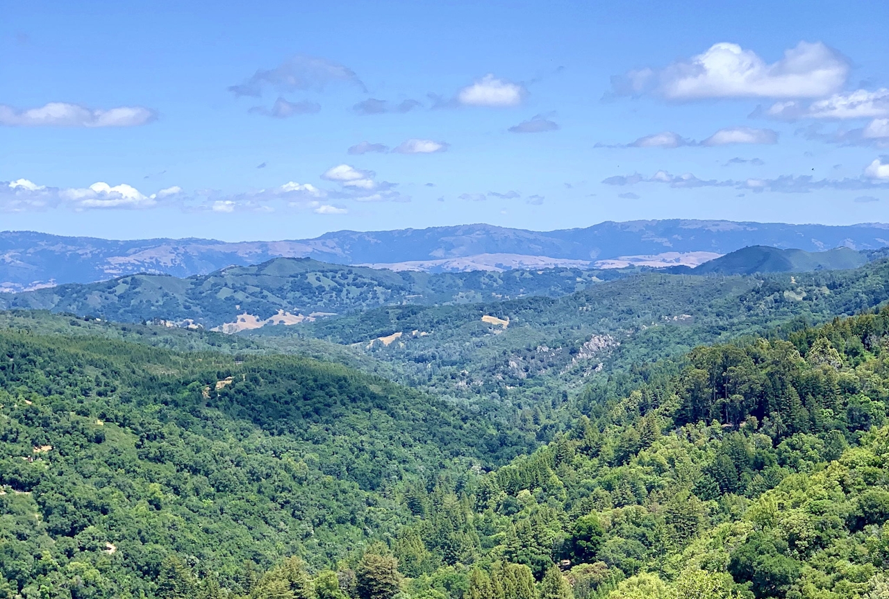 Viewpoint overlooking the Santa Cruz Mountains in Uvas Canyon County Park 