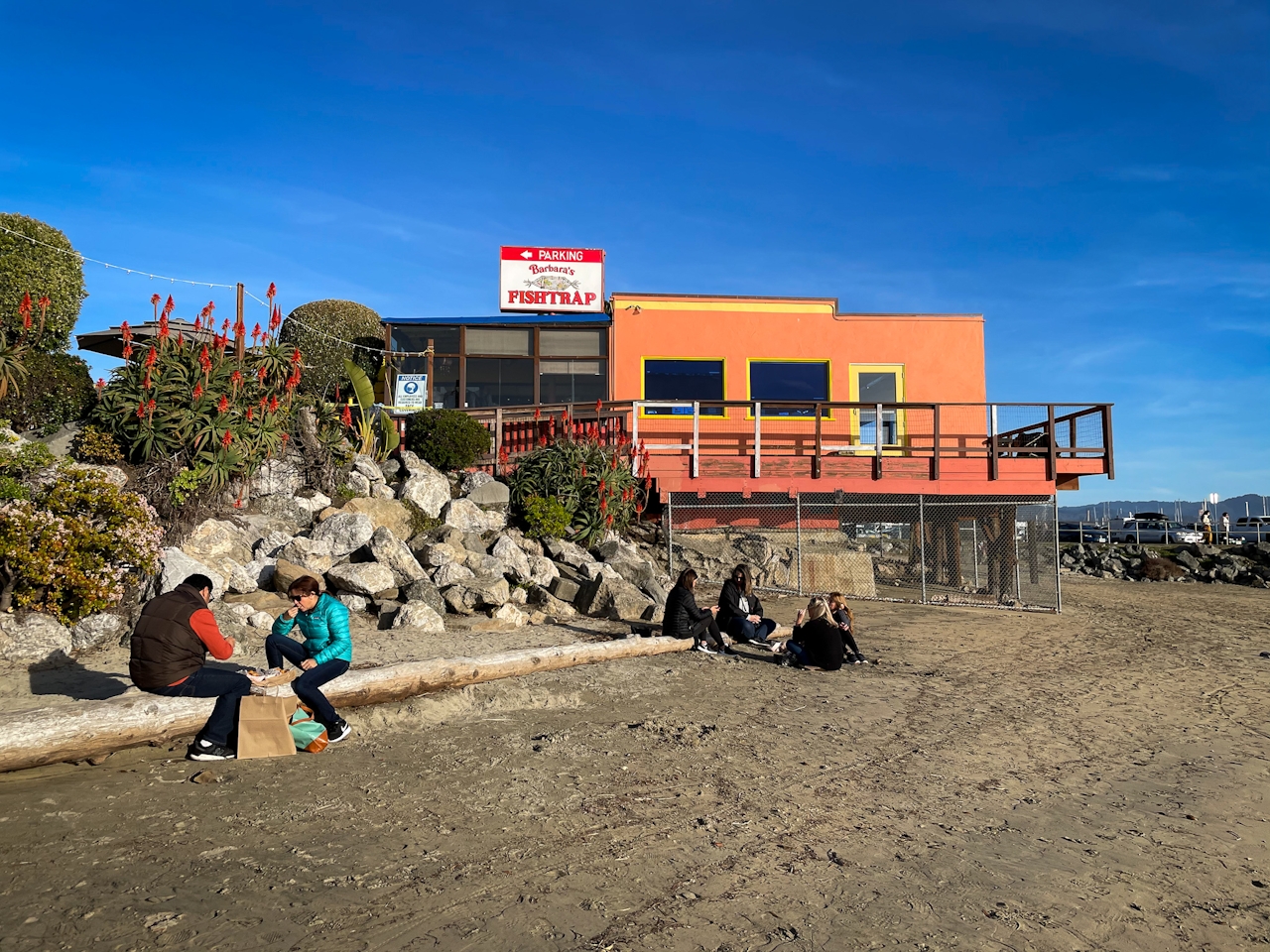 People sitting on a log on the beach and eating in front of Barbara