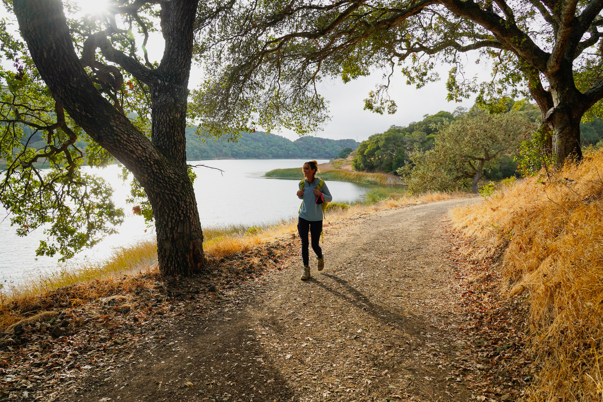 Hike Oursan Trail at Briones Reservoir 