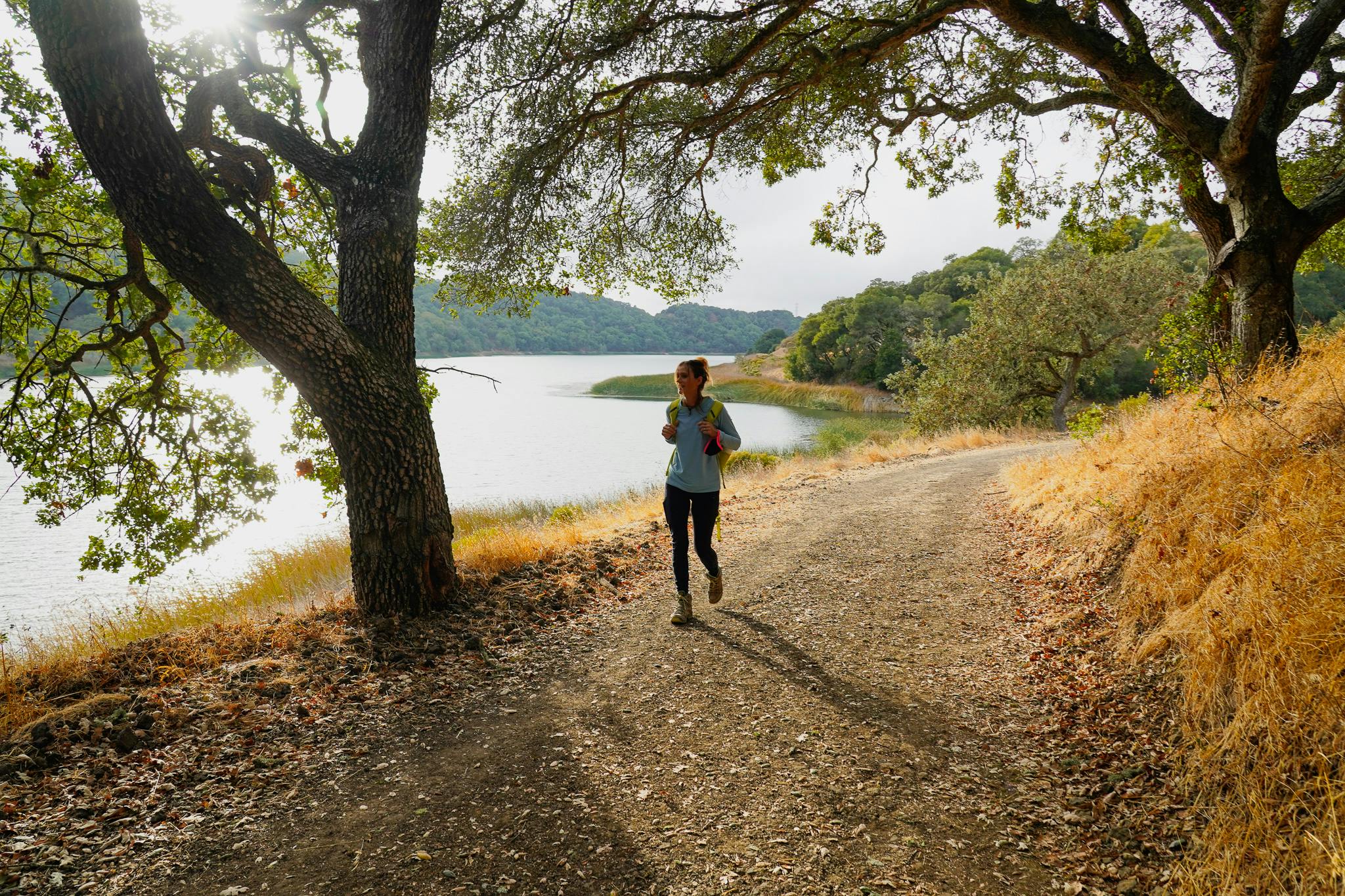 Hike Oursan Trail at Briones Reservoir 