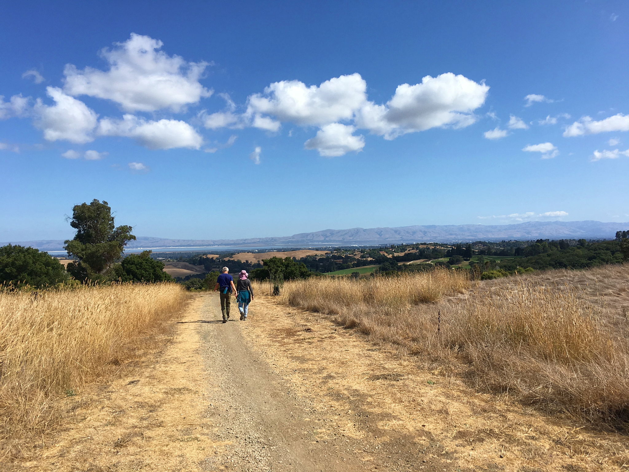 Pearson-Arastradero Preserve hike