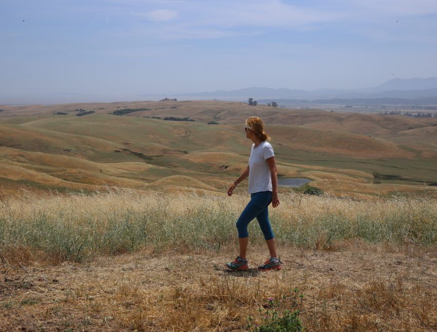 Hiking Petaluma