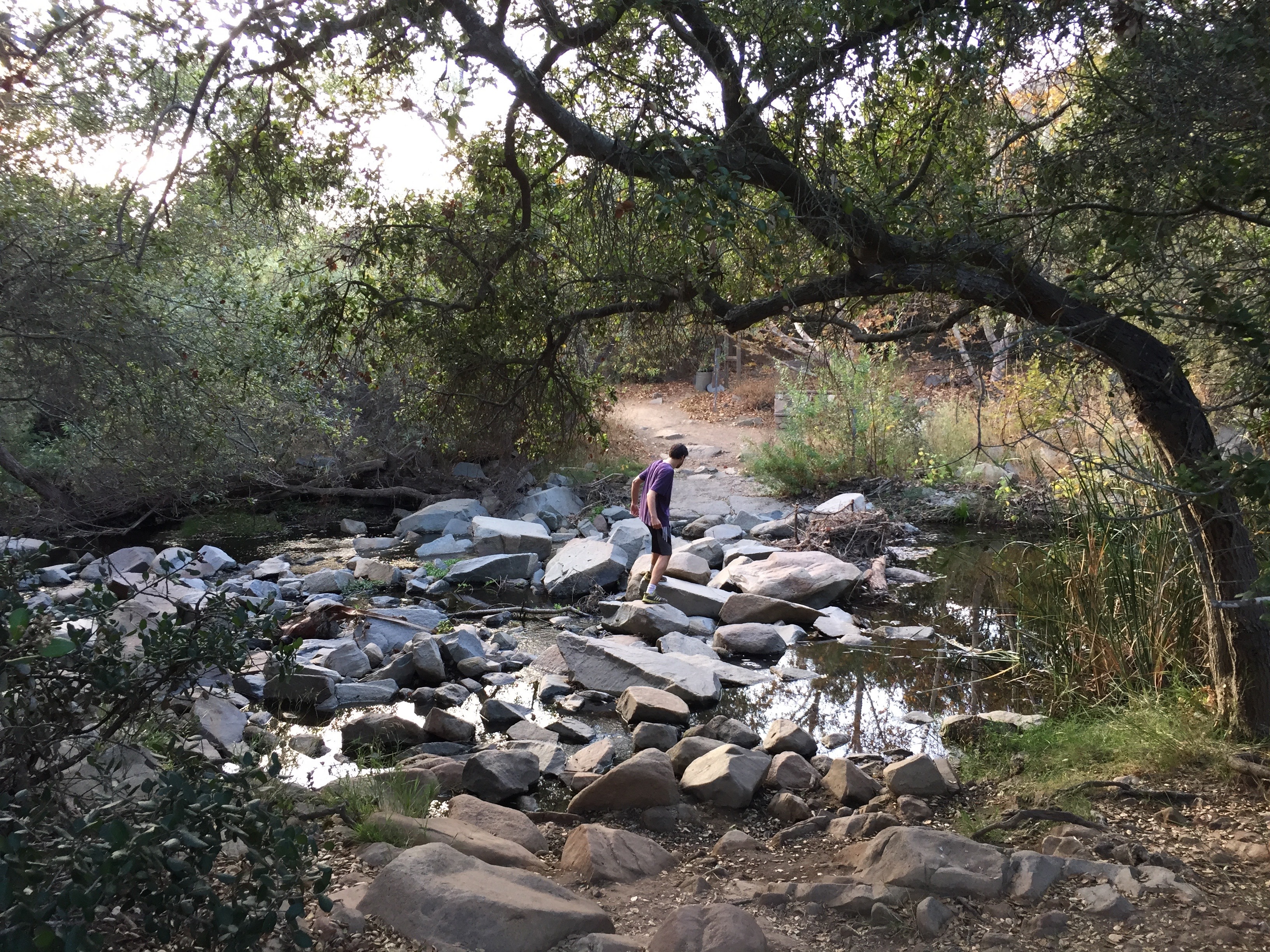 Hike Elfin Forest Recreational Reserve in Escondido