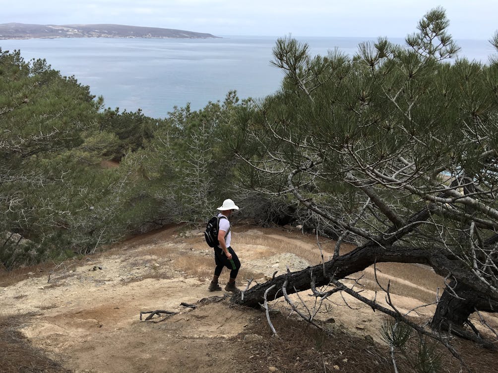 Epic Hikes of Santa Rosa Island