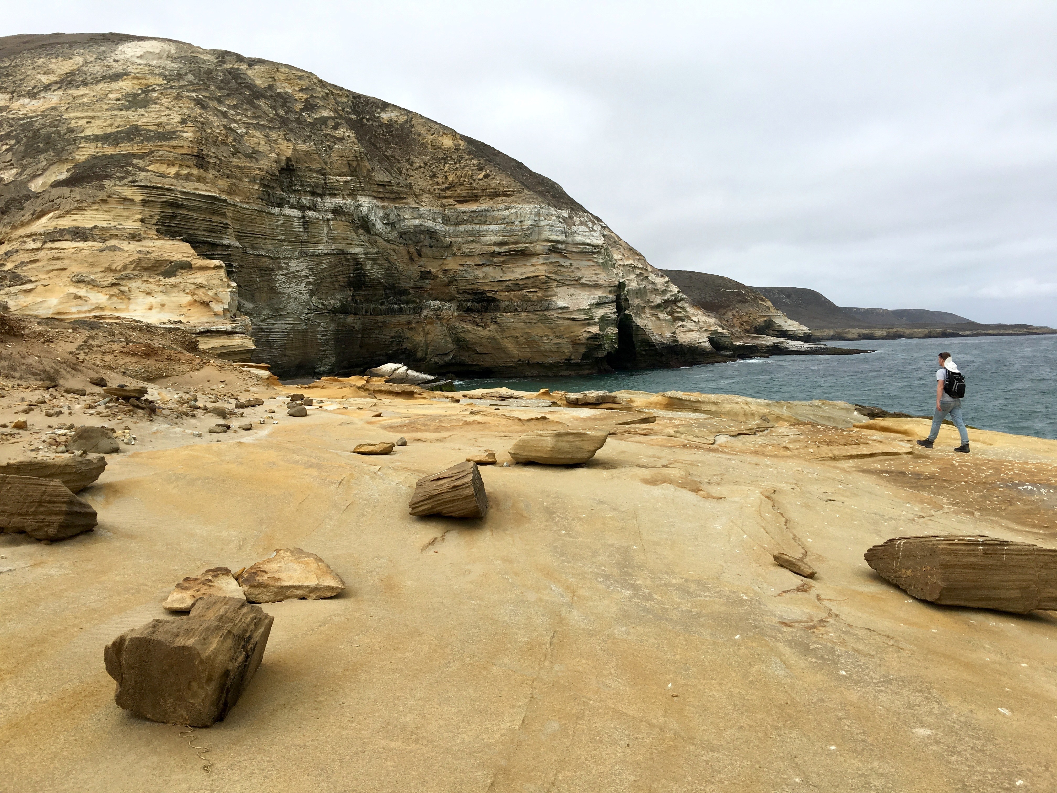 Lobo Canyon hike Santa Rosa Island