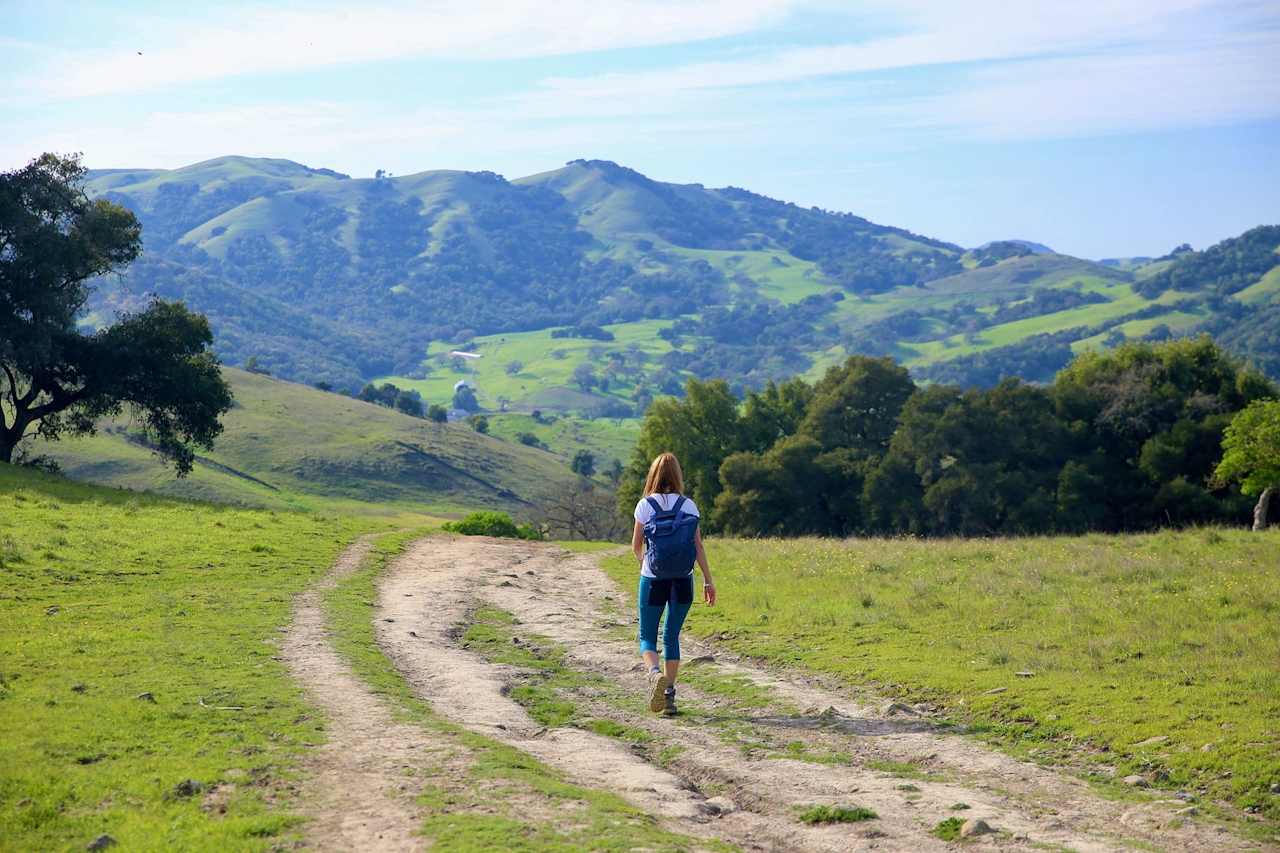 Mount Burdell Novato