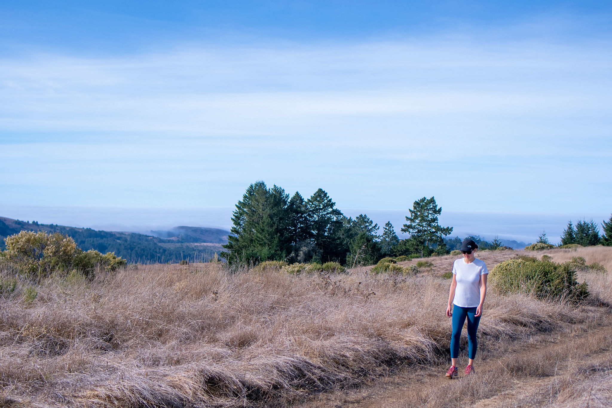 Hike Islands in the Sky at Sonoma Coast State Park 